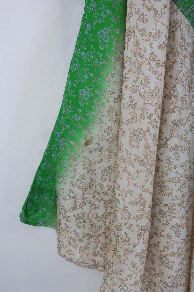 Goddess Dress - Parakeet and Taupe Cornucopia - Indian Pure Silk Sari - Free Size - Image 4