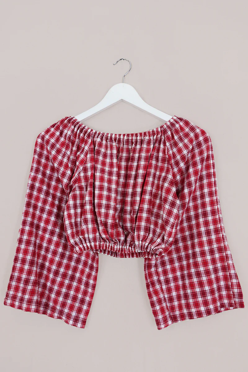Kitty Reclaimed Crop Top in Picnic Red Gingham - Free Size S