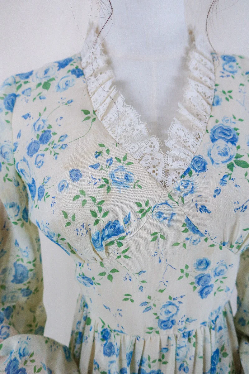 Vintage Maxi Dress - Lace and Sky Rose Prairie Dress - Size XS - Image 3